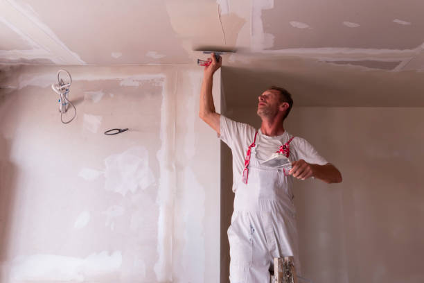 Best Water-Damaged Drywall Repair  in Petersburg, WV